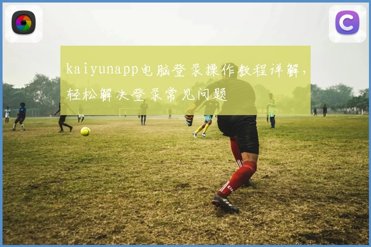 kaiyunapp电脑登录操作教程详解，轻松解决登录常见问题