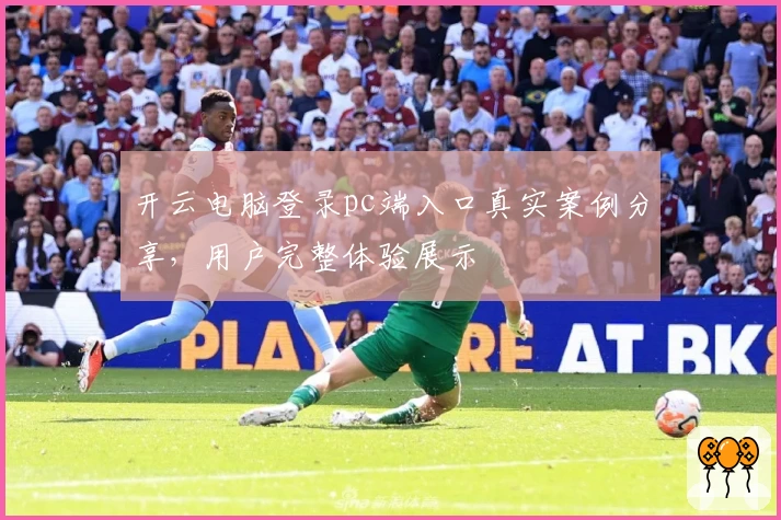 开云电脑登录pc端入口真实案例分享，用户完整体验展示