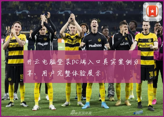 开云电脑登录pc端入口真实案例分享，用户完整体验展示