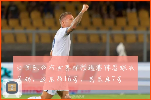 法国队公布世界杯预选赛阵容球衣号码，迈尼昂16号、恩昆库7号